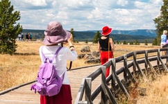 纯纯欲动未删减版在线播放